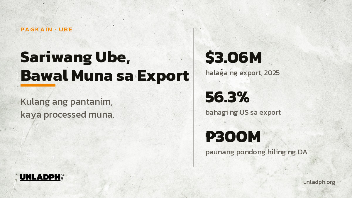 Ube Export: Sariwang Ube, Pinigil; Powder at Halaya, Puwede